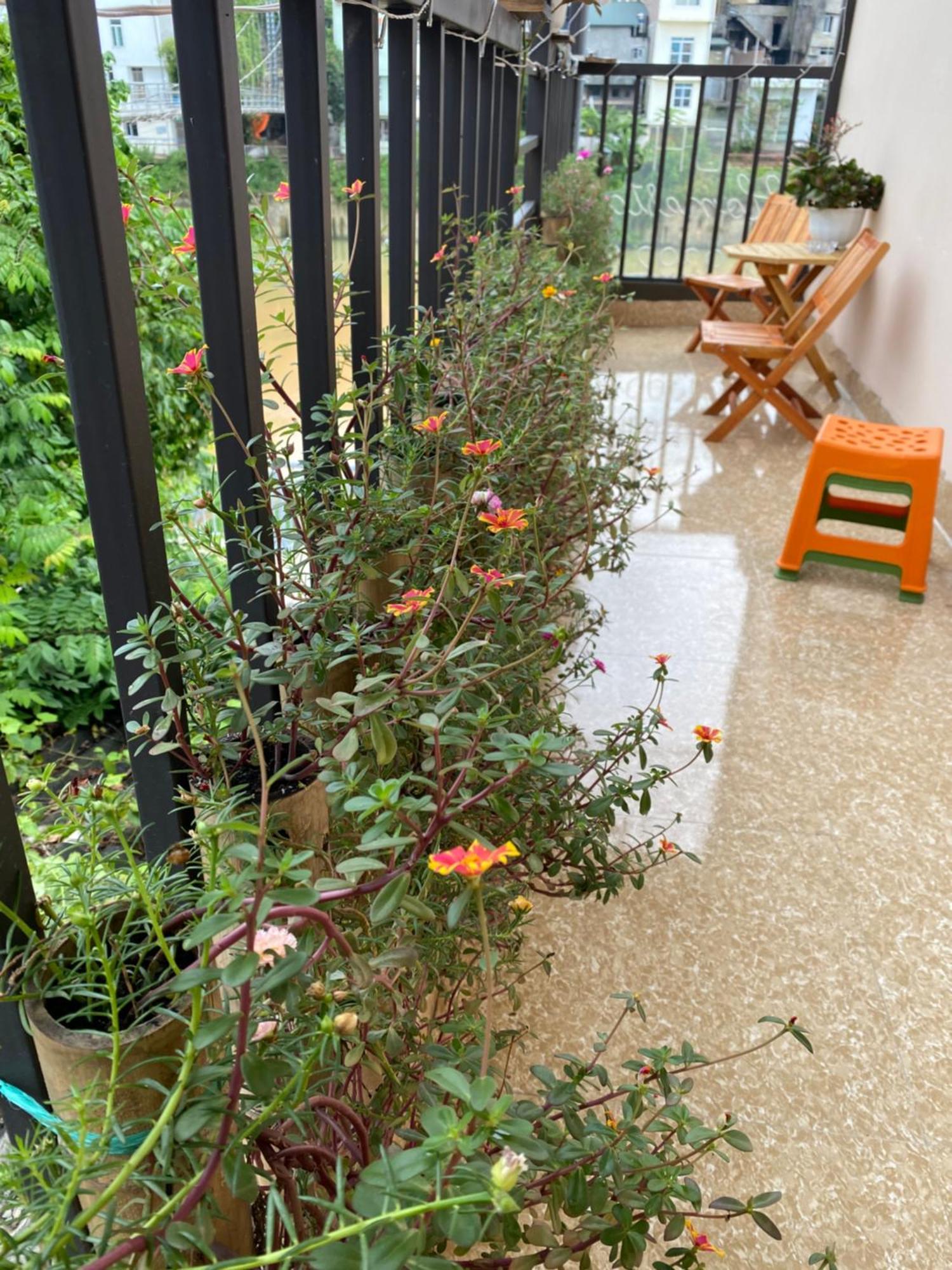 Dh Homestay קאו באנג מראה חיצוני תמונה